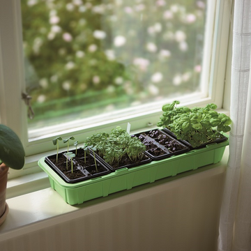 Miniväxthus 'Window' med 24st celler