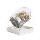 Sproutly: Geo Glasburk
