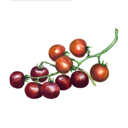 Tomat 'Helsing Junction Blues'