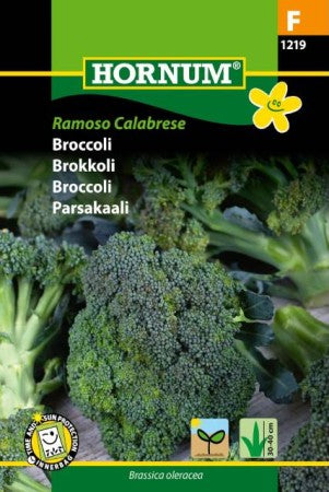 Broccoli 'Ramoso Calabrese' F1 frö