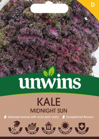 Grönkål 'Midnight Sun'