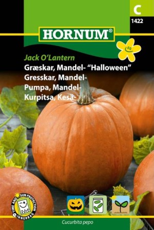 Mandelpumpa 'Jack O’Lantern' frö