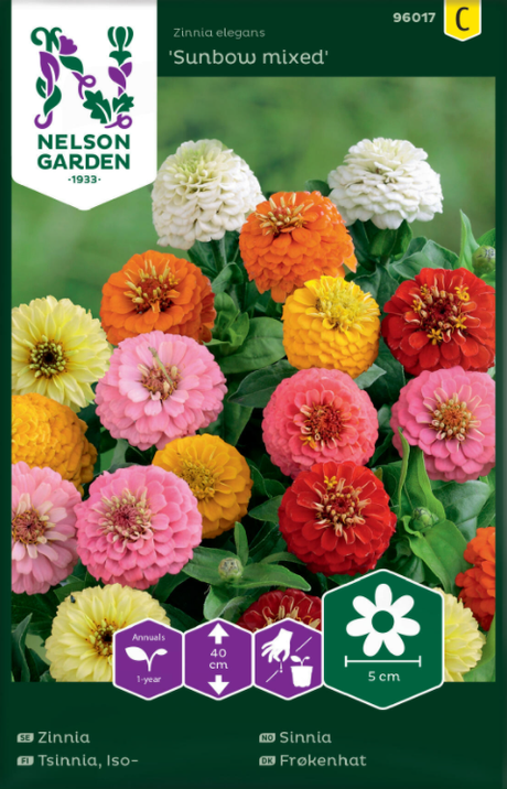 Zinnia 'Sunbow' Mix