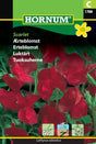 Luktärt 'Scarlet' frö