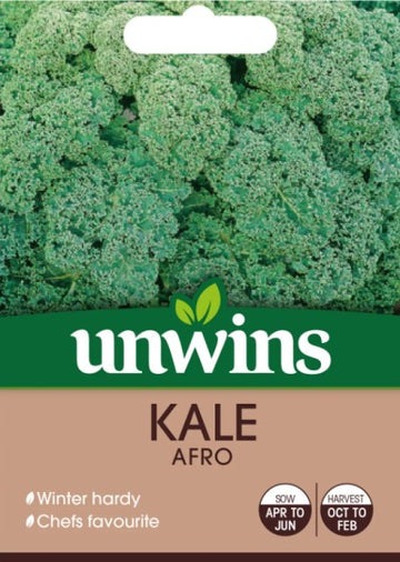 Grönkål 'Afro'