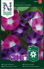 Purpurvinda 'Bohemian Shades'
