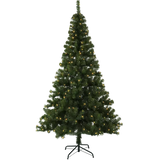 Ottawa Julgran 260 LED 210 cm