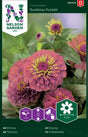 Zinnia 'Sunbow Purple'