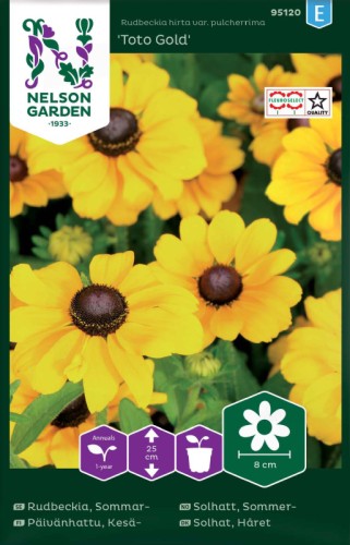 Sommarrudbeckia 'Toto Gold' Låg