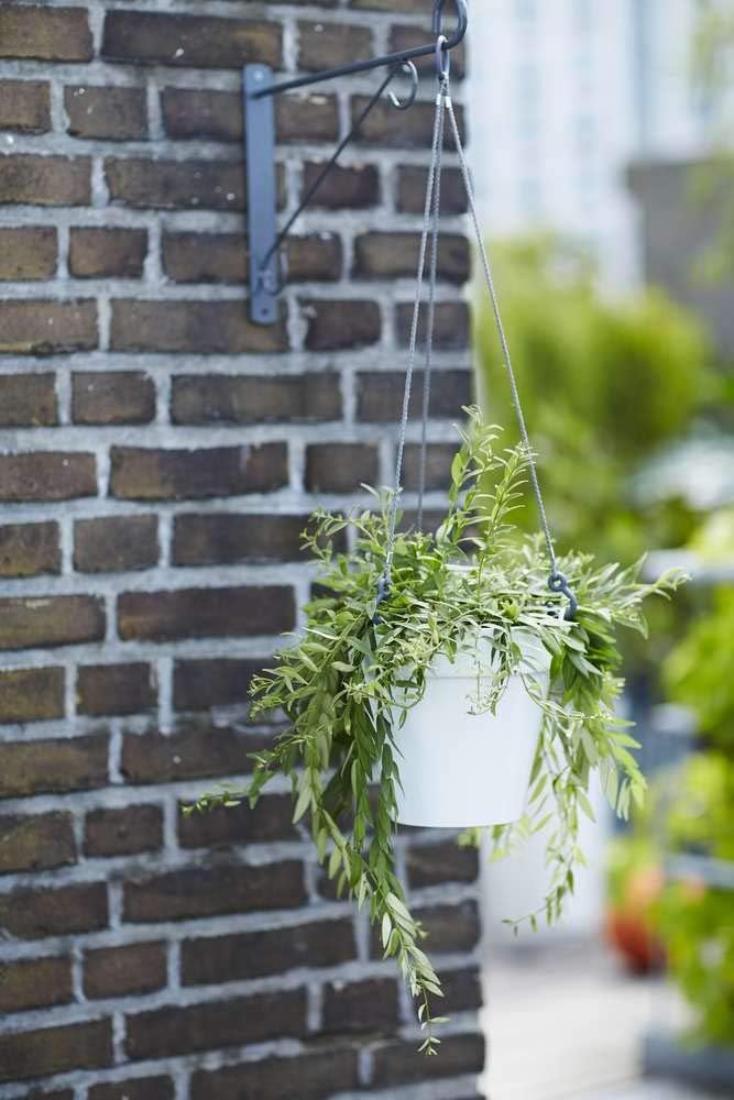 Loft Urban Ampel Hanging Basket D20cm Vit