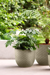 Utekruka 'Fuente Grains' Round D30 - Pebble Grey