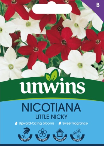 Blomstertobak 'Little Nicky'