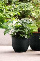 Utekruka 'Fuente Grains' Round D30 - Onyx Black