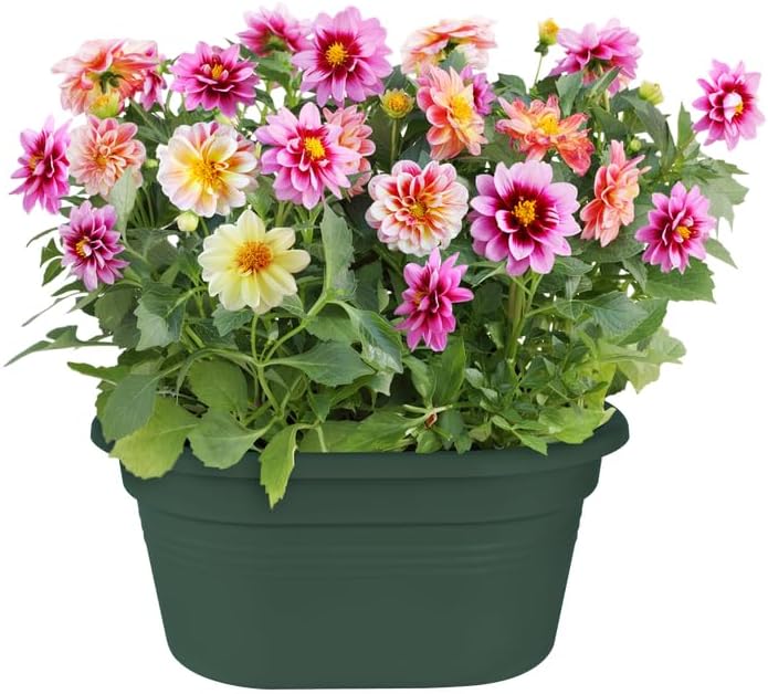 Green Basics Wall Basket 30cm, Leaf Green