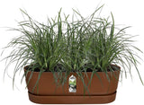 Greenville Easy Balcony 52cm - Ginger Brown
