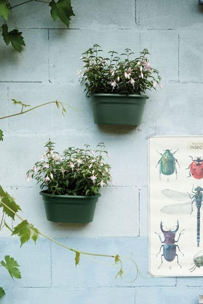 Green Basics Wall Basket 30cm, Leaf Green