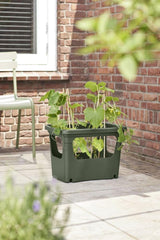 Green Basics Stack n Grow - Leaf Green