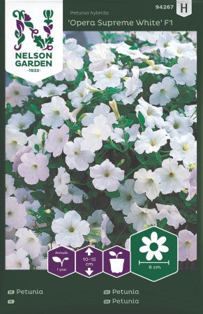 Petunia 'Opera Supreme White' F1