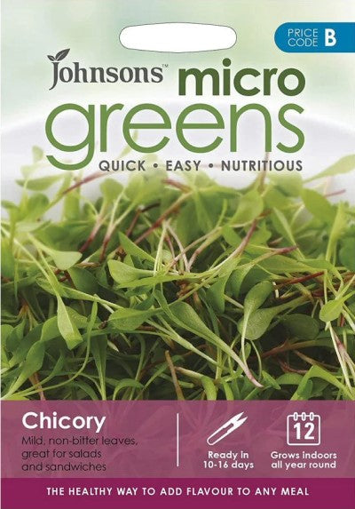 Microgreens Chikoria