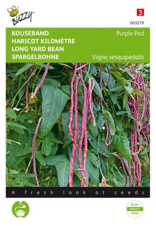Spaghettiböna 'Purple Pod'