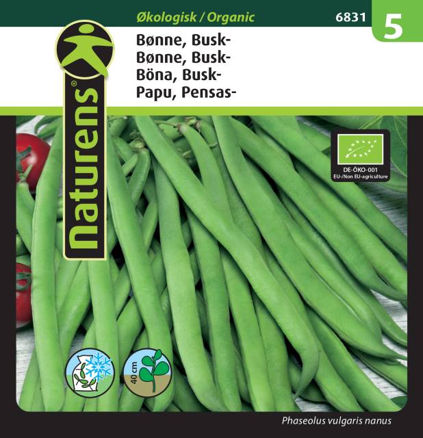 Buskböna 'Haricot Vert/ Delinel' EKO