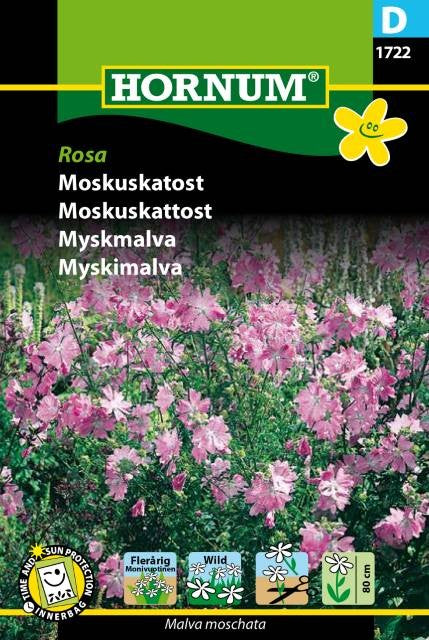 Myskmalva Rosa