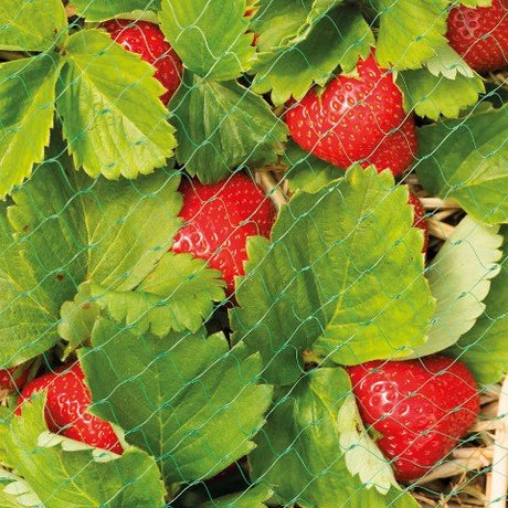 Bärnät 6x2m Grön - 15mm