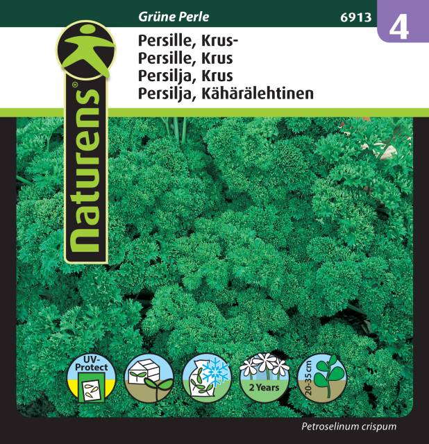 Krusbladig Persilja 'Grune'Perle'