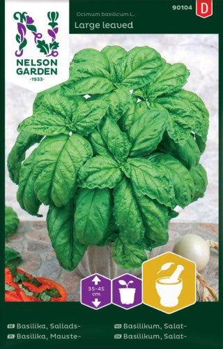 Basilika 'Storbladig' frö
