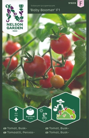 Körsbärstomat 'Baby Boomer' F1