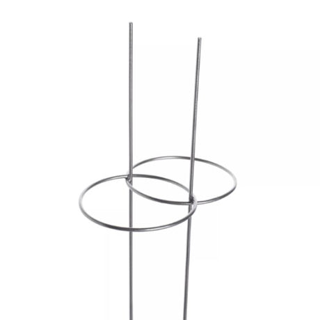 Amaryllisstöd 2-ringar H45