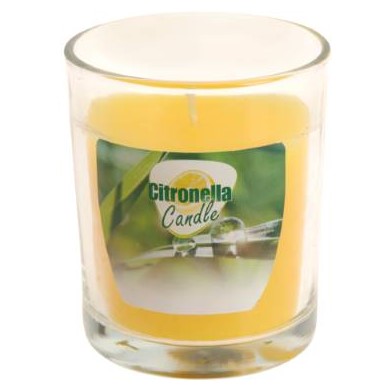 Doftljus i Glas 'Citronella' 7x8cm