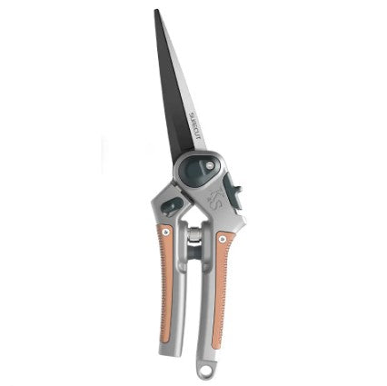 Kent & Stowe 'Garden Life' Perennsax