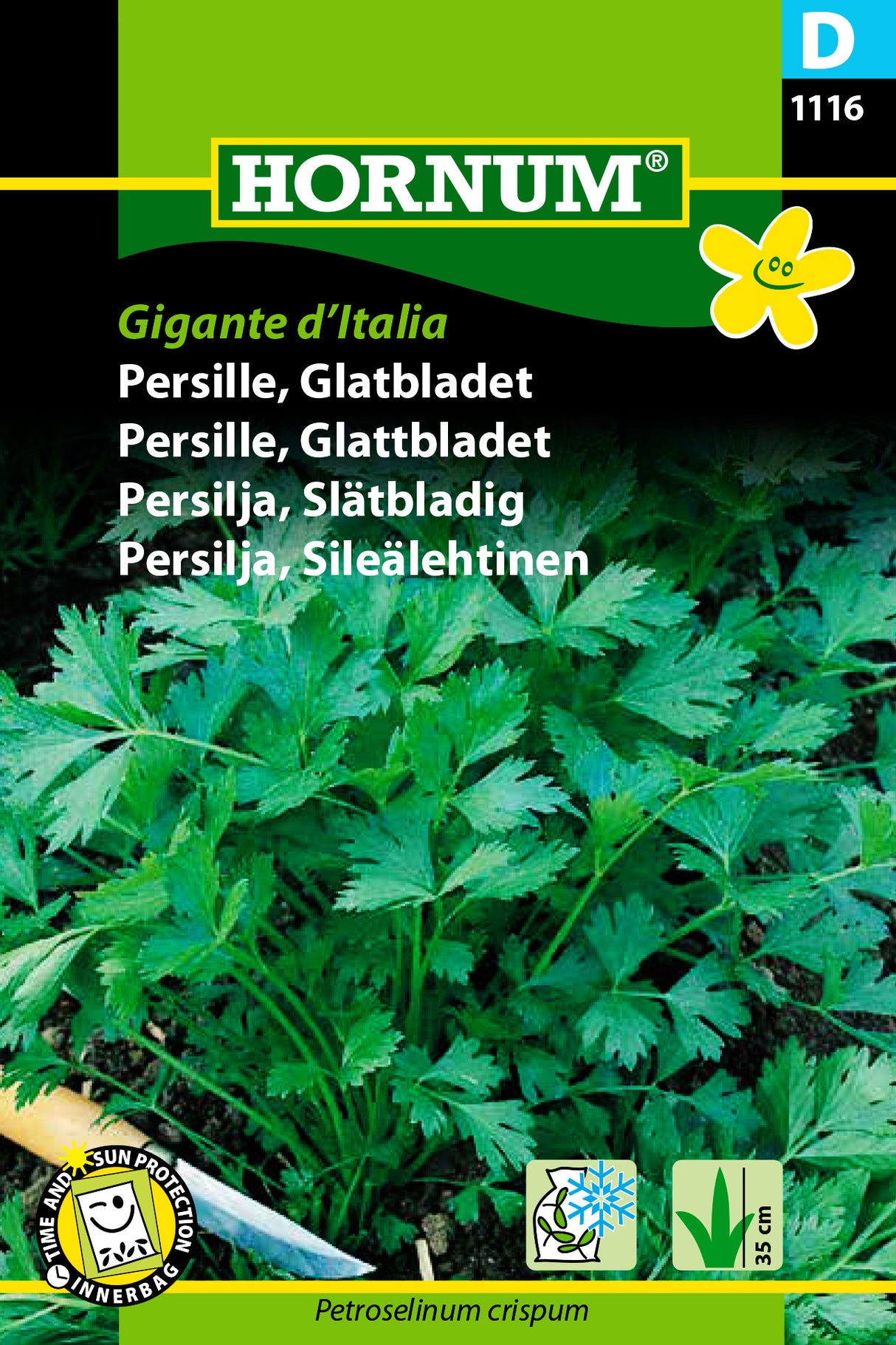 Slätbladig Persilja 'Gigante d'Italia' frö