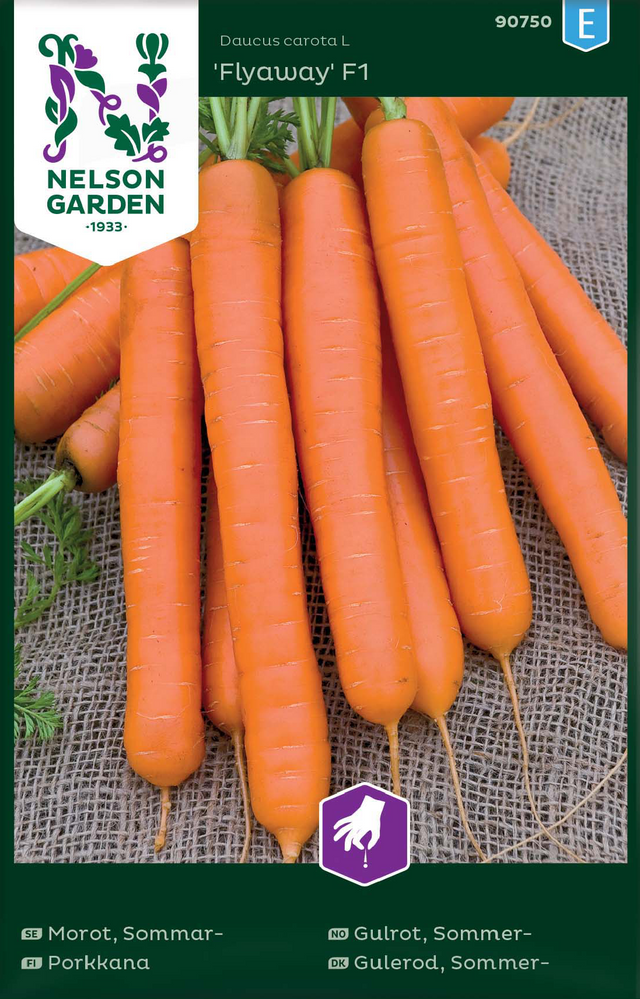 Sommarmorot 'Flyaway F1'