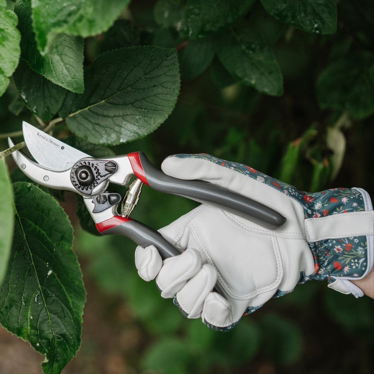 Kent & Stowe Sekatör 'Professional Bypass'