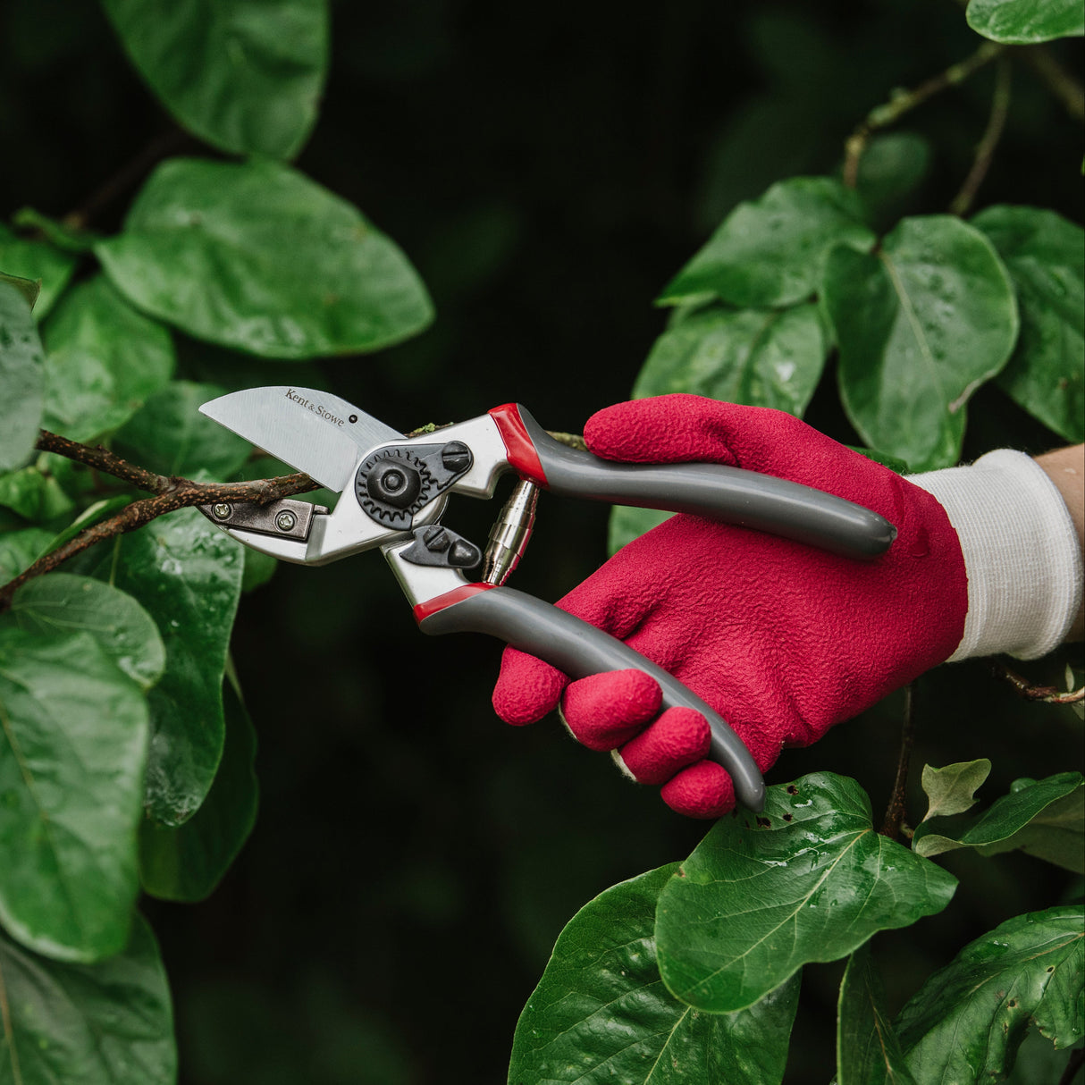 Kent & Stowe Sekatör 'Professional Anvil'