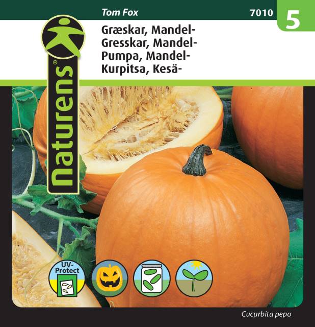 Mandelpumpa 'Tom Fox'