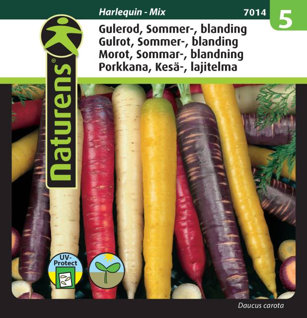 Sommarmorot 'Harlequin mix'