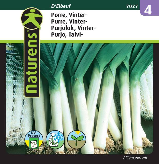 Purjolök Vinter' D'Elbeuf'