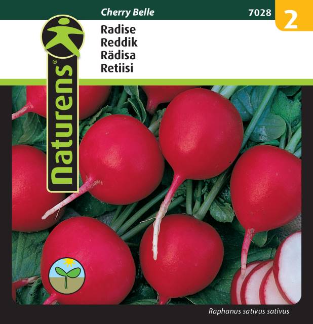 Rädisa 'Cherry Belle' EKO