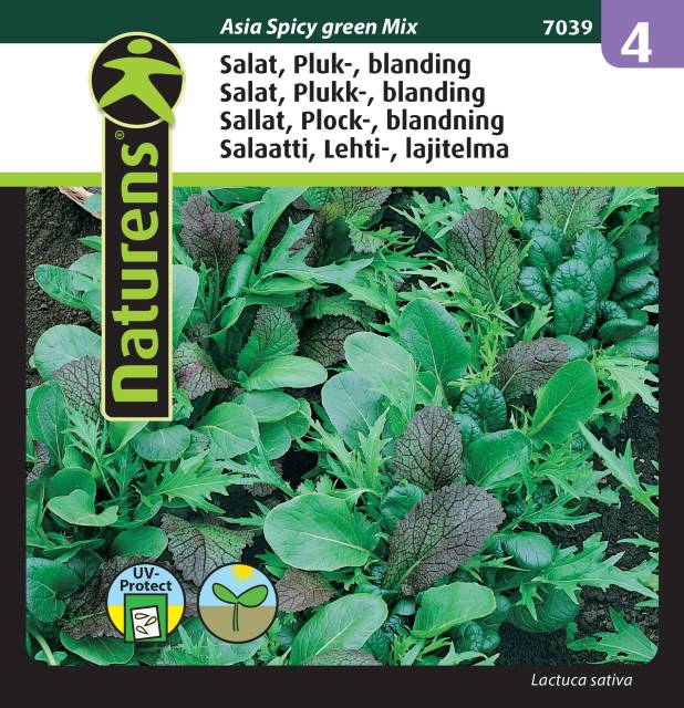 Plocksallat Mix 'Asian Spicy Green'