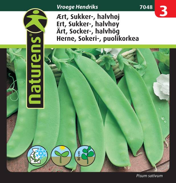 Sockerärt 'Vroege Hendriks'