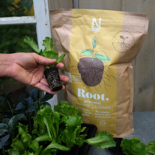 Biohumus ROOT 4l