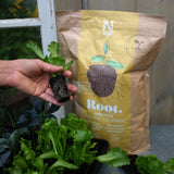 Biohumus ROOT 4l