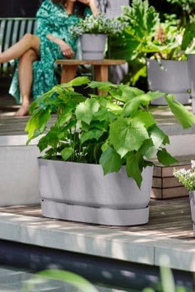 Greenville Terrace Blomlåda med hjul 60cm - Living Concrete