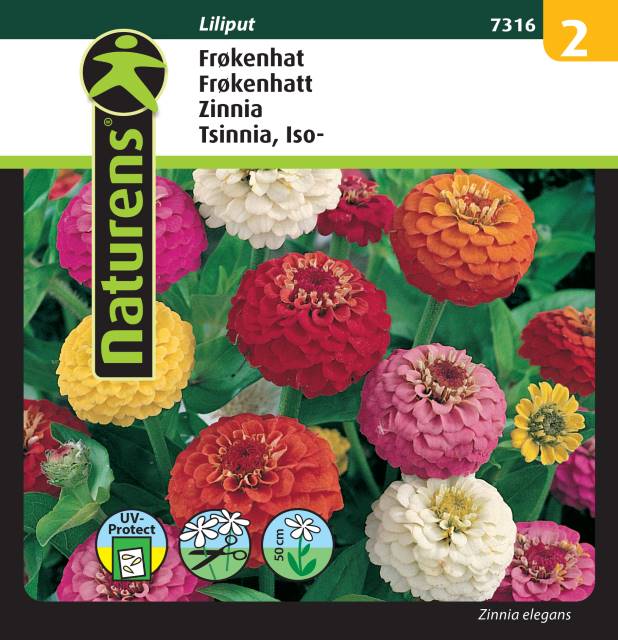 Zinnia Mix 'Liliput'