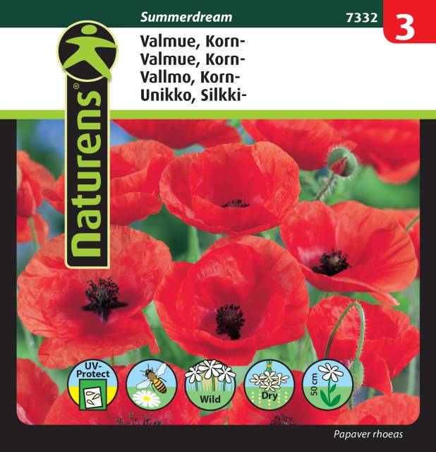 Kornvallmo 'Summerdream'