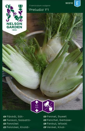 Sötfänkål 'Preludio' F1