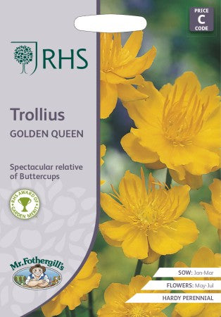 Kinesisk Smörboll 'Golden Queen'